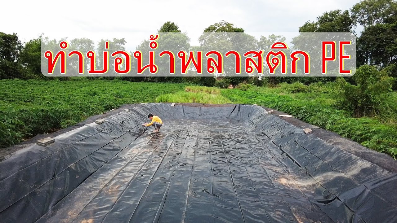 วิธีทำบ่อน้ำ  EP.1 ขนาด 5X15เมตร ด้วยงบประมาณหลักพัน