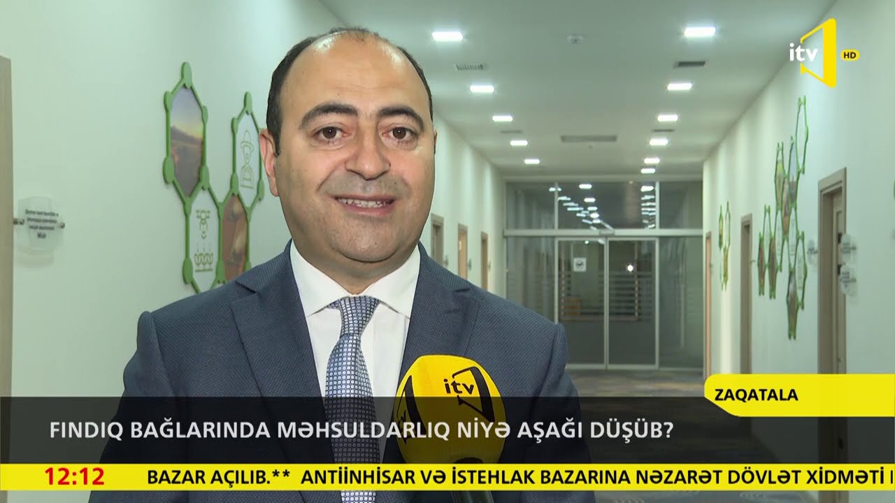 Fındıq bağlarında məhsuldarlıq niyə aşağı düşüb?