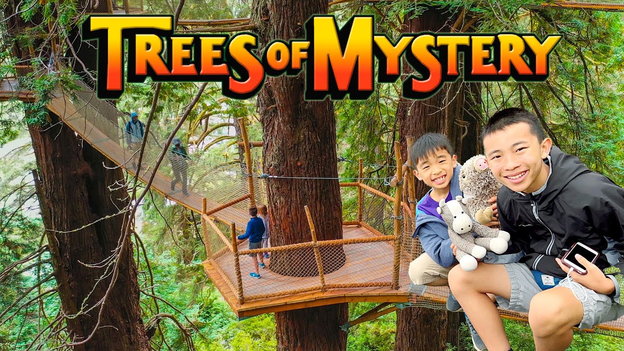 Trees of Mystery in Klamath | California Roadside Attraction (Worth It?)