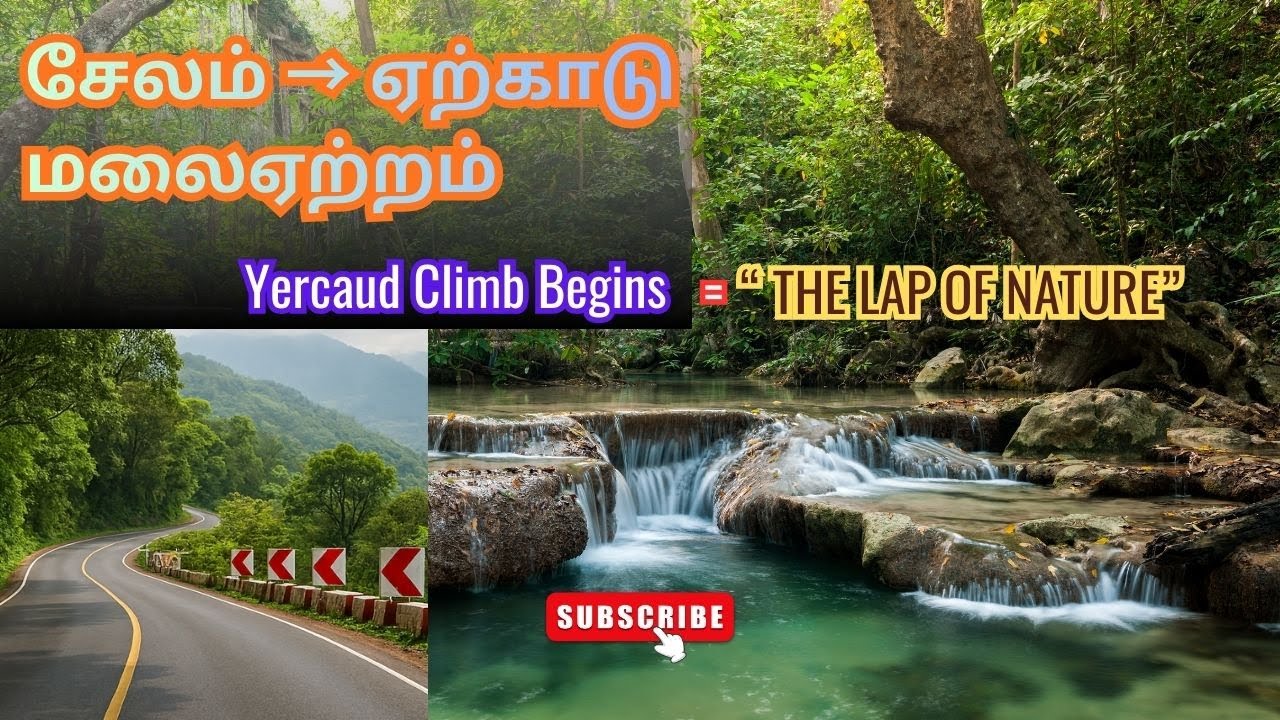 Yercaud Episode 1 | Salem Bus Stand to Yercaud Ghat Road Climb | Tamil Vlog