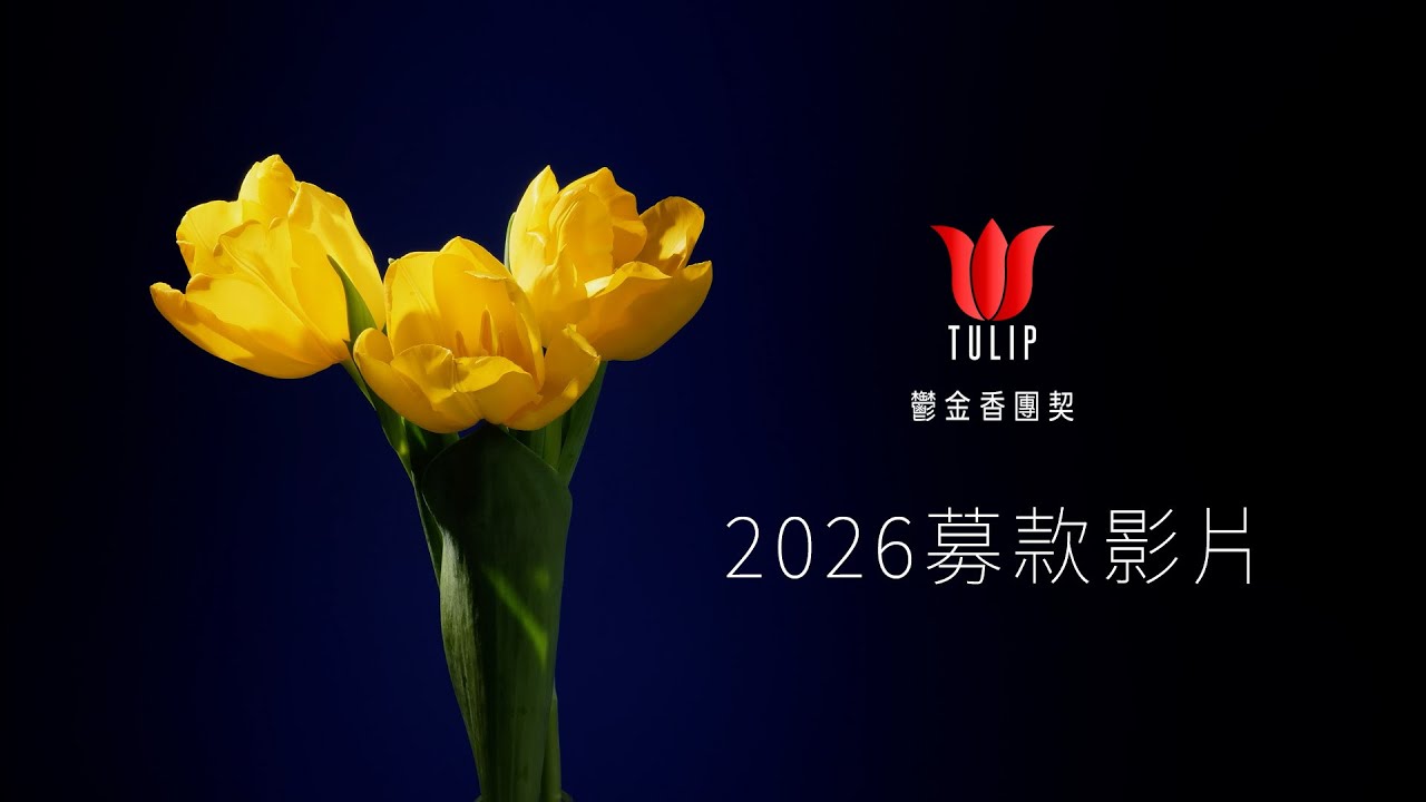 2026 TULIP 鬱金香團契募款影片