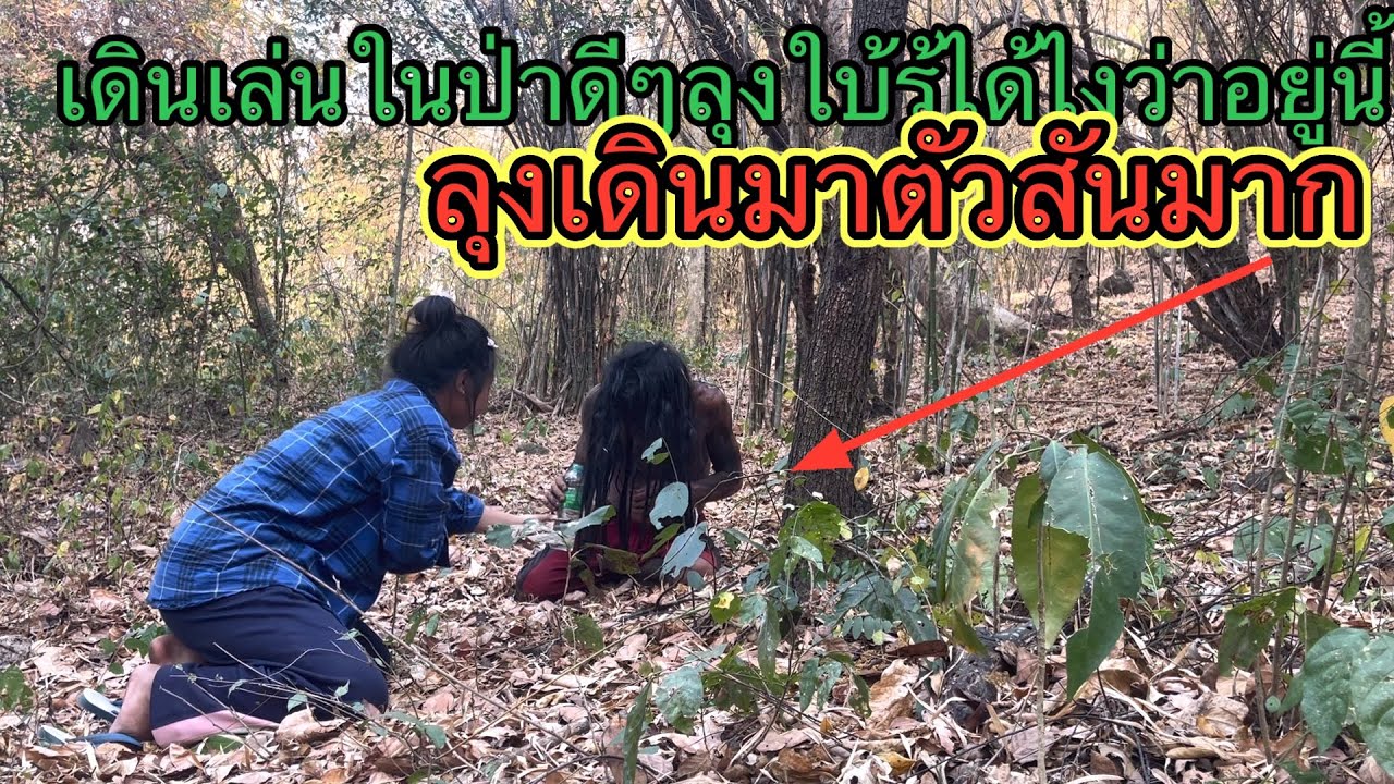 เดินเล่นในป่าดีดีลุงไม่รู้ได้ไงว่าเราอยู่ที่นี่ ลุงเดินมาตัวสันมาก