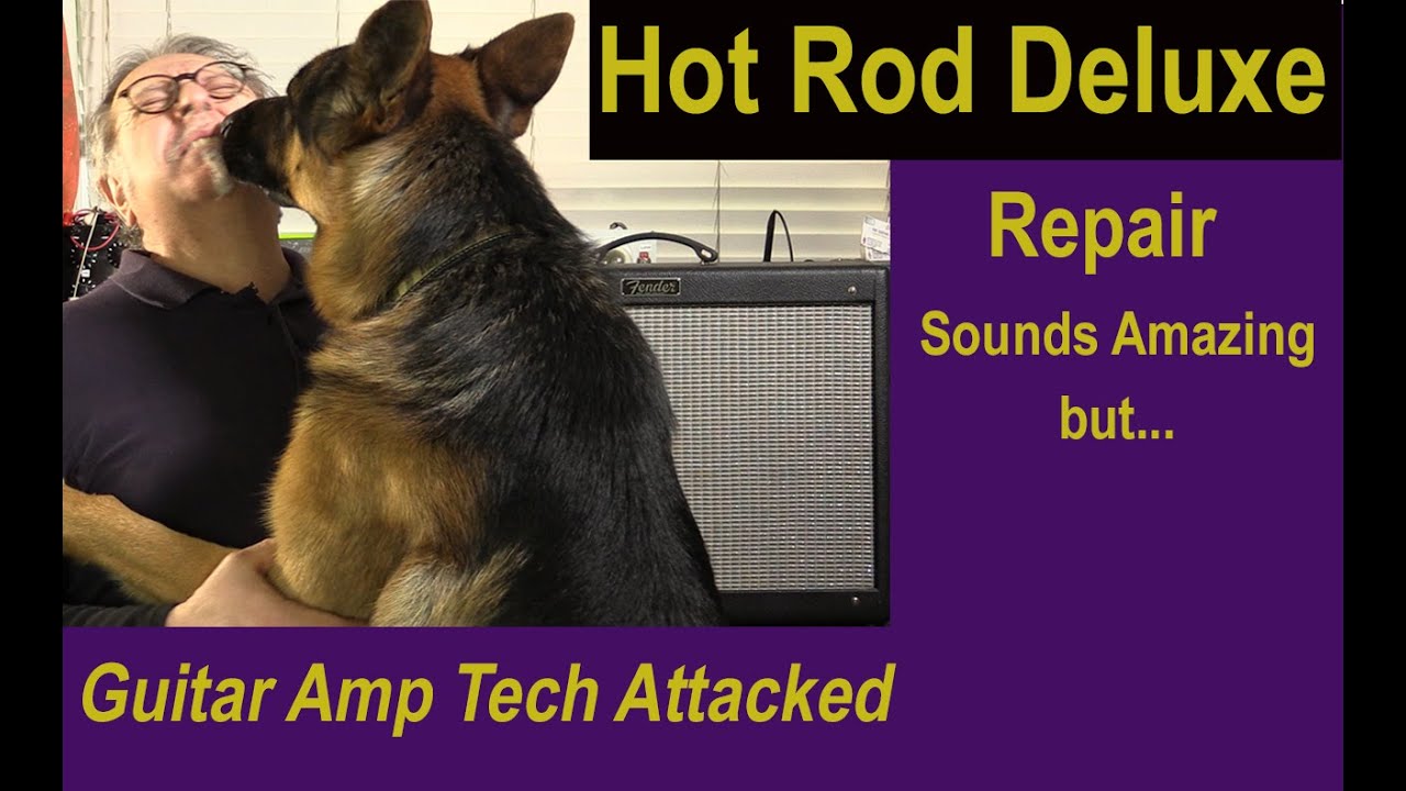 Hot Rod Deluxe Repair sounds AMAZING!
