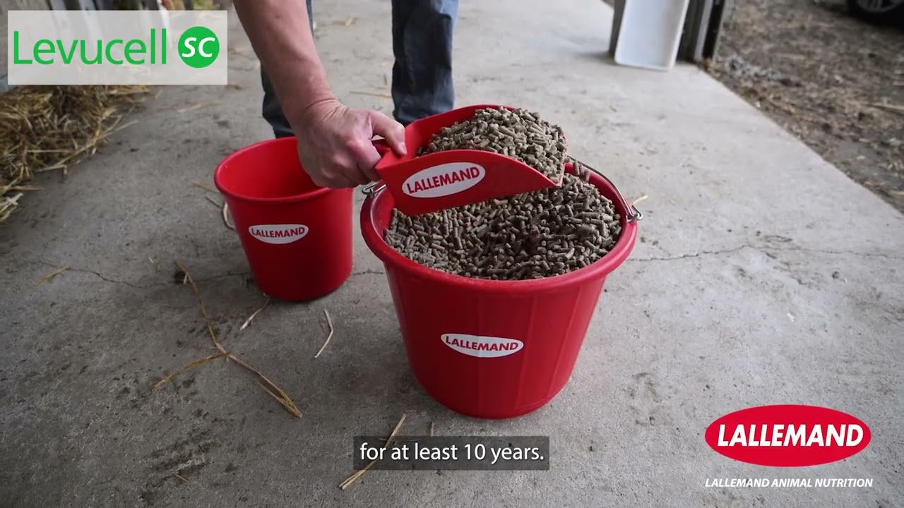 Farmer experience: why we changed our youngstock feeding strategy