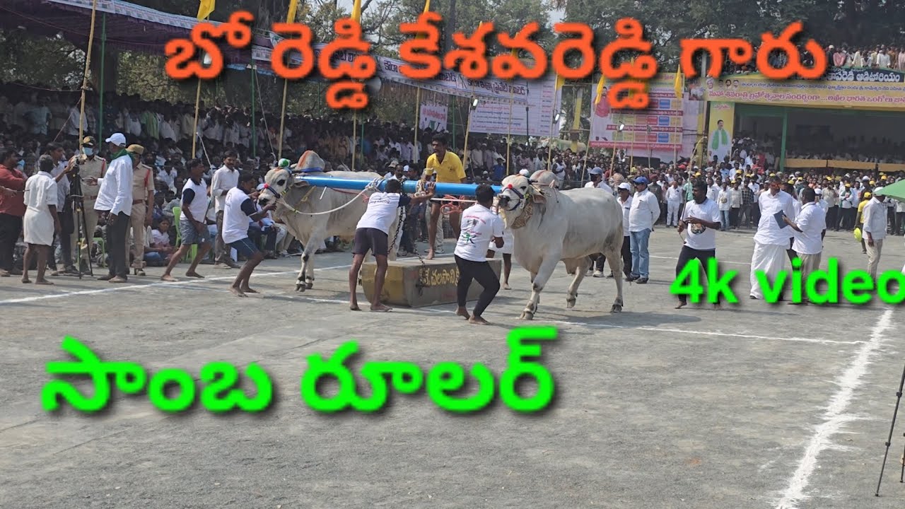 బోరెడ్డి కేశవరెడ్డి సీనియర్ గిత్తలు సాంబ రూలర్ జత 