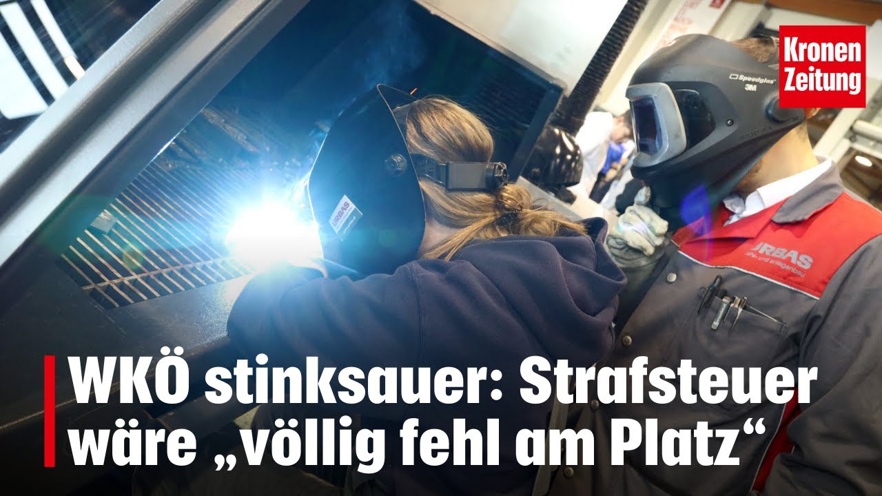 WKÖ stinksauer: Strafsteuer „völlig fehl am Platz“ | krone.tv NEWS