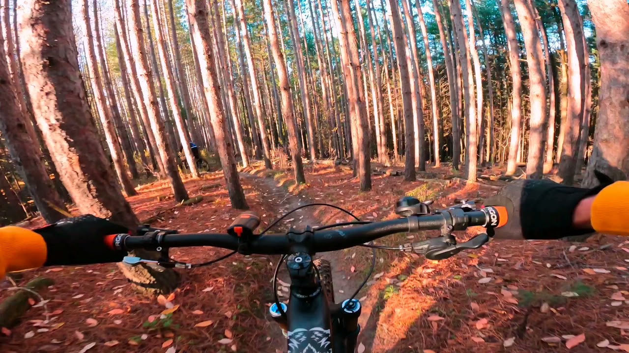 Riding Adventures at Albion Hills Conservation Area