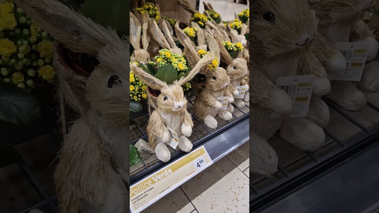 IDEE REGALO PASQUA DA LIDL LOWCOST 🥰 #spamoments #gringo #beauty #ideeregalo #pasqua #lowcost