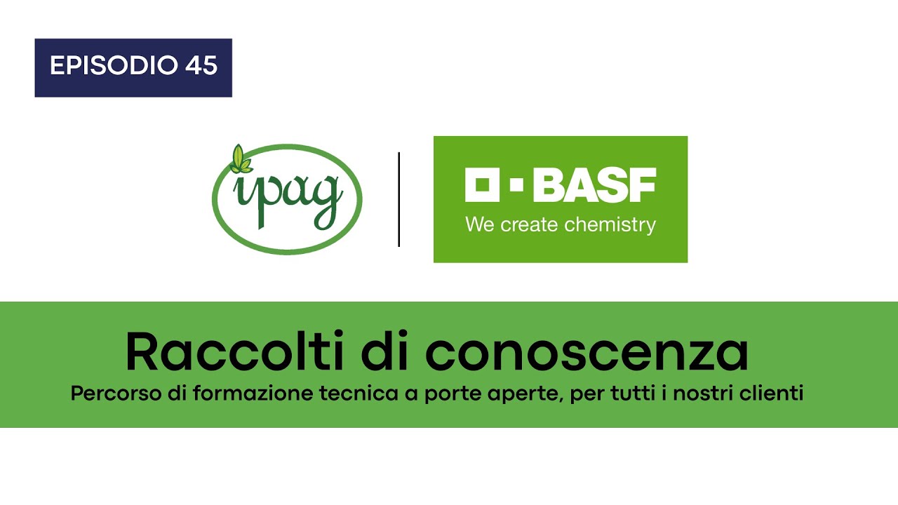 Soluzioni Basf per il controllo dell'oidio della vite | Basf | RdC ep.45