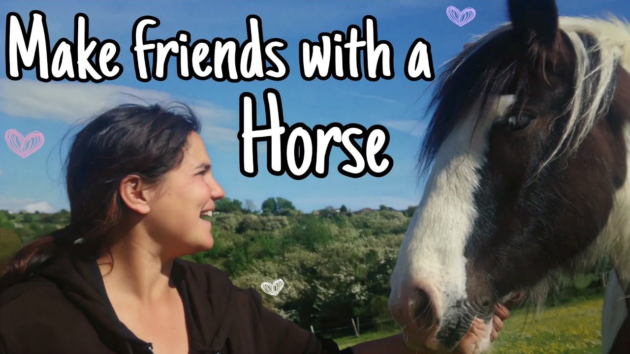 Как подружиться с лошадью 🐴 Легко и просто 💚
