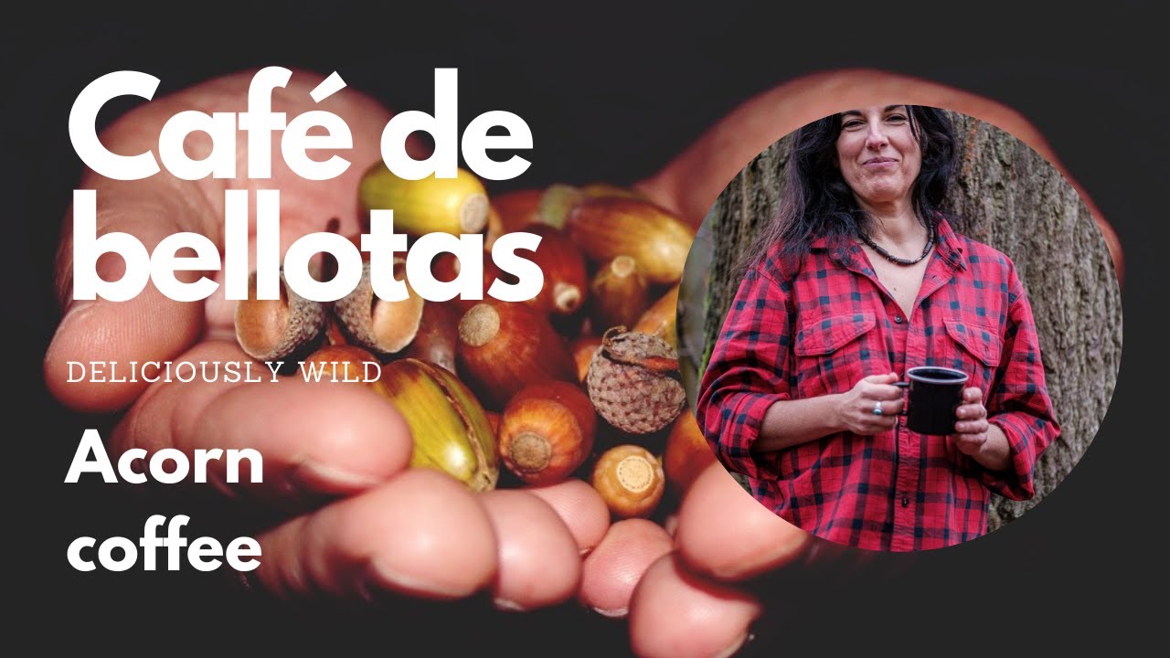Cómo hacer café de bellotas | How to make acorn coffee