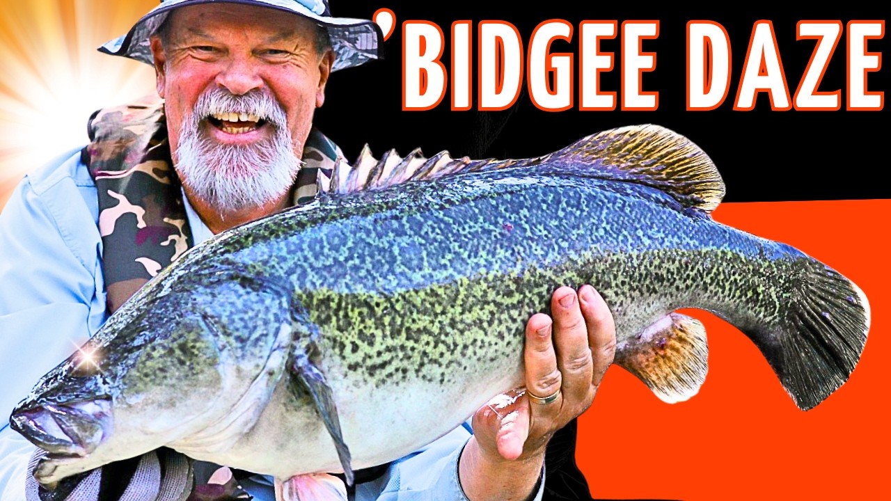 Catching Murray Cod & Yellowbelly From A River Of Dreams!