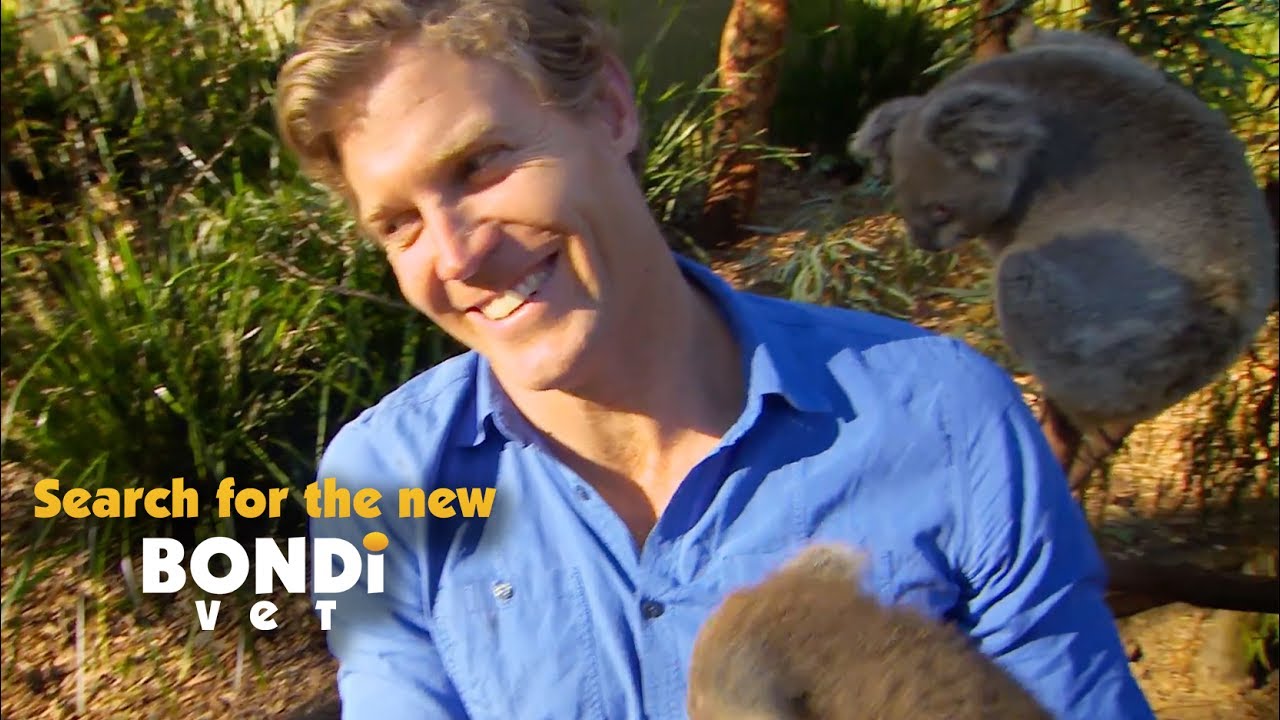 Search for the New Bondi Vet - Promo 2