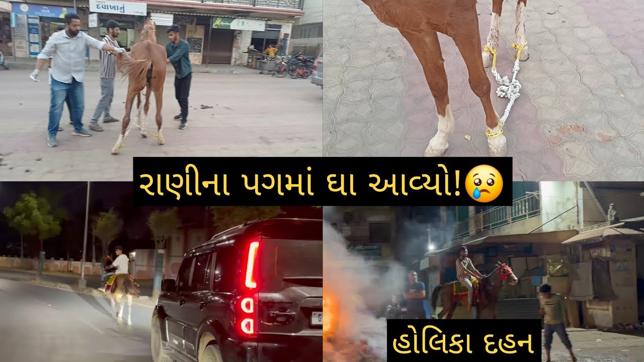 રાણીના પગમાં આવ્યો ઘા 😢