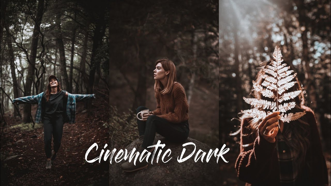 How To Edit Like Cinematic Dark || in Lightroom Mobile||