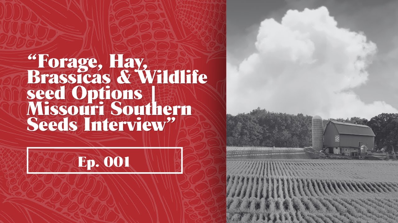 Forage, Hay, Brassicas & Wildlife Seed Options | Missouri Southern Seeds Interview