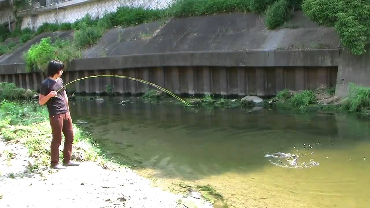 鯉のフライフィッシング/carp on the fly fishing!!(JVC GZ HD7)