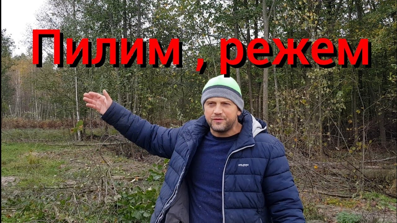 Теперь у нас красивые пейзажи со всех сторон .Печёночный торт от подписчика