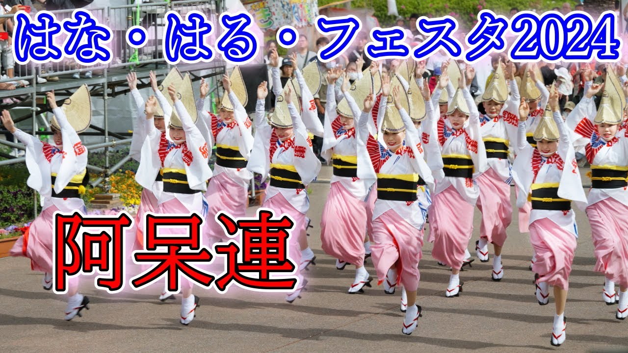 【阿波踊り2024】はなはるフェスタ2024　阿呆連
