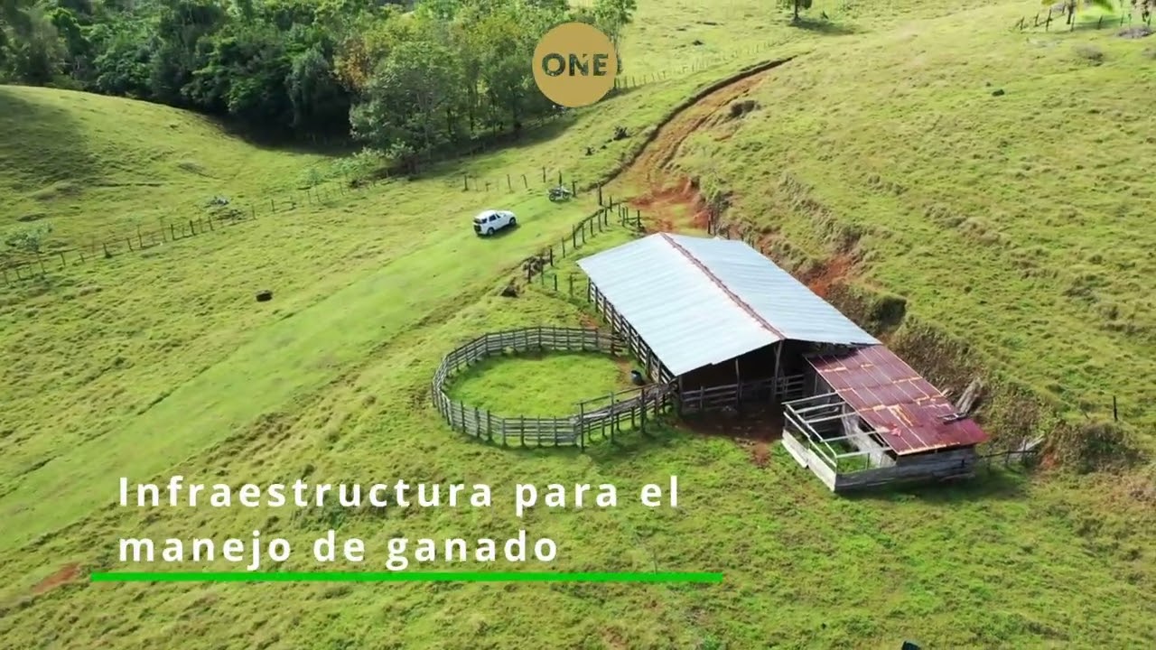 Terreno Agricola y Ganadero de 83 hect, en Sarapiquí, Heredia