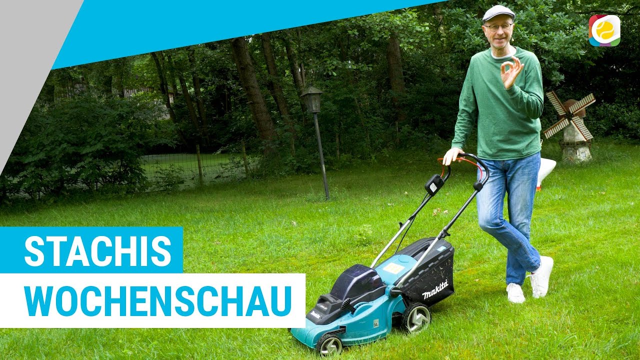Ab auf den Rasen! | Stachis Wochenschau #41