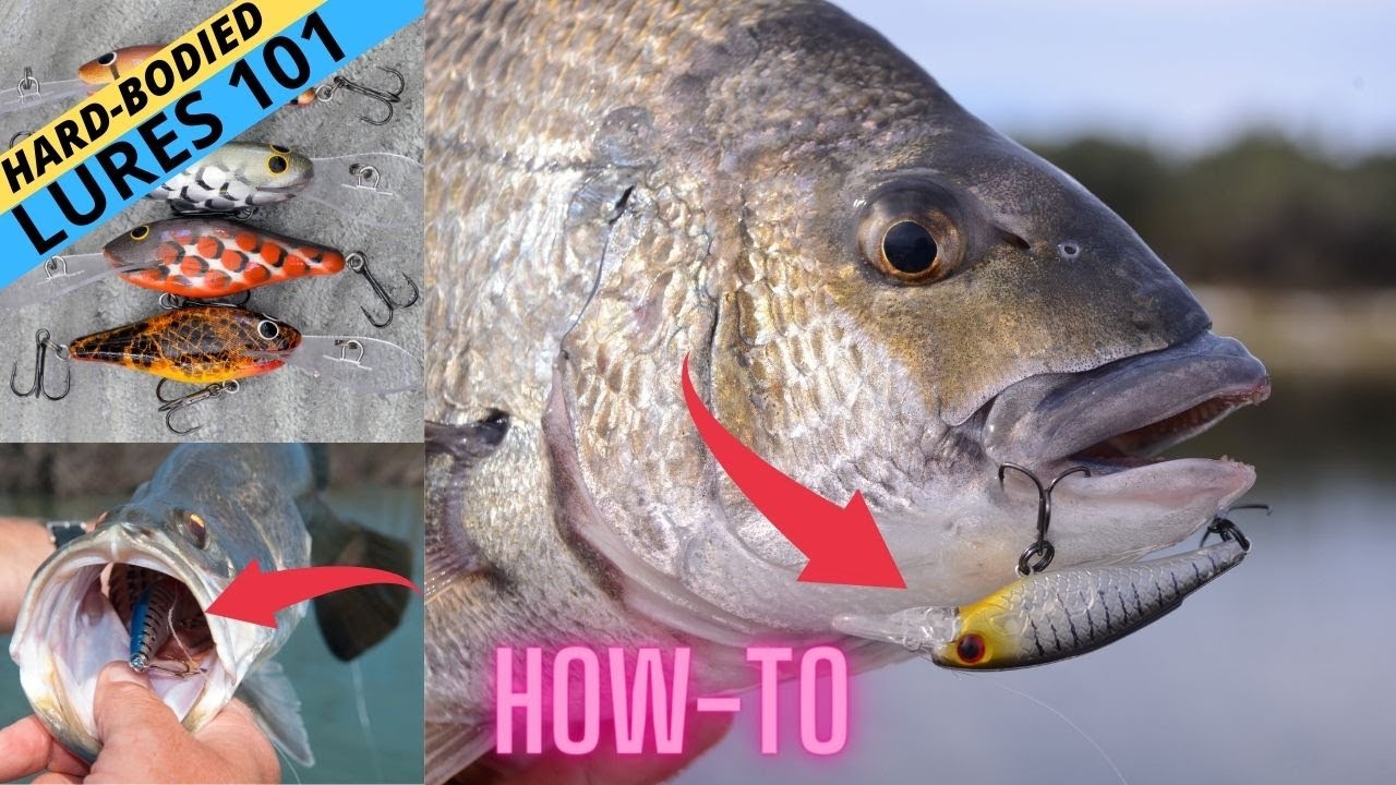 FISHING WISDOM — Hard Body Lure Fishing 101