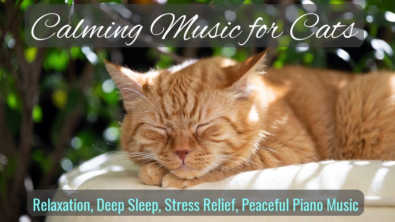 Calming Music for Cats - Relaxation, Deep Sleep, Stress Relief, Peaceful Piano Music | Season 25