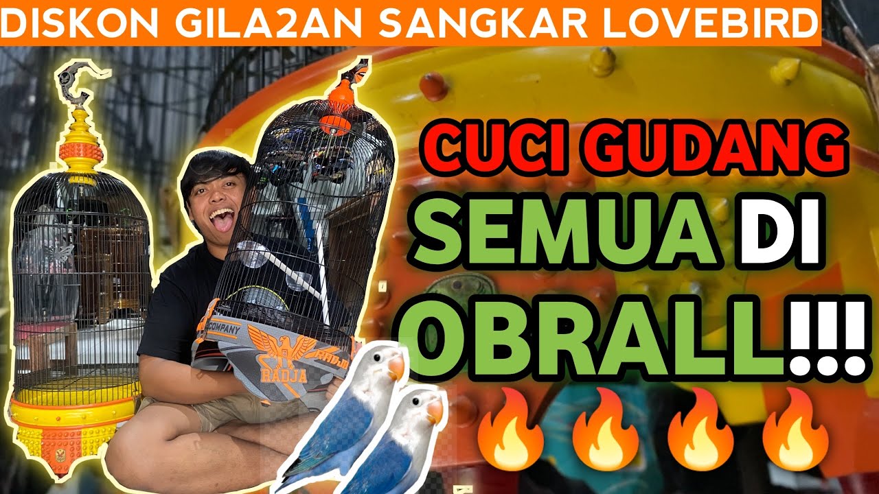 BUAT KAUM MENDANG MENDING NIH!!Obral sangkar lovebird Cms | Cms Pramuka