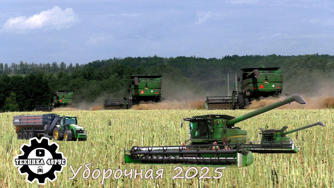 Чёрное золото полей! Комбайны John Deere и уборка рапса. Уборочная 2025 в Липецкой области