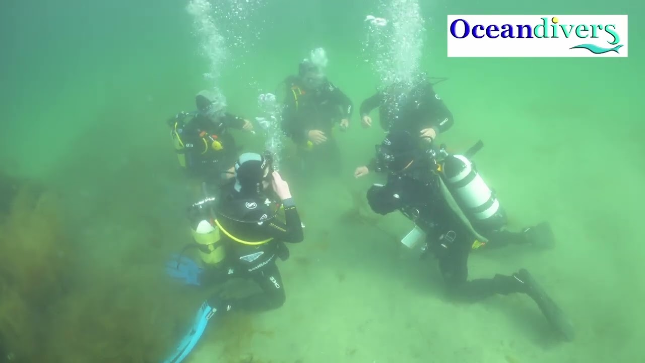 PADI DIve master Course with Oceandivers Ireland