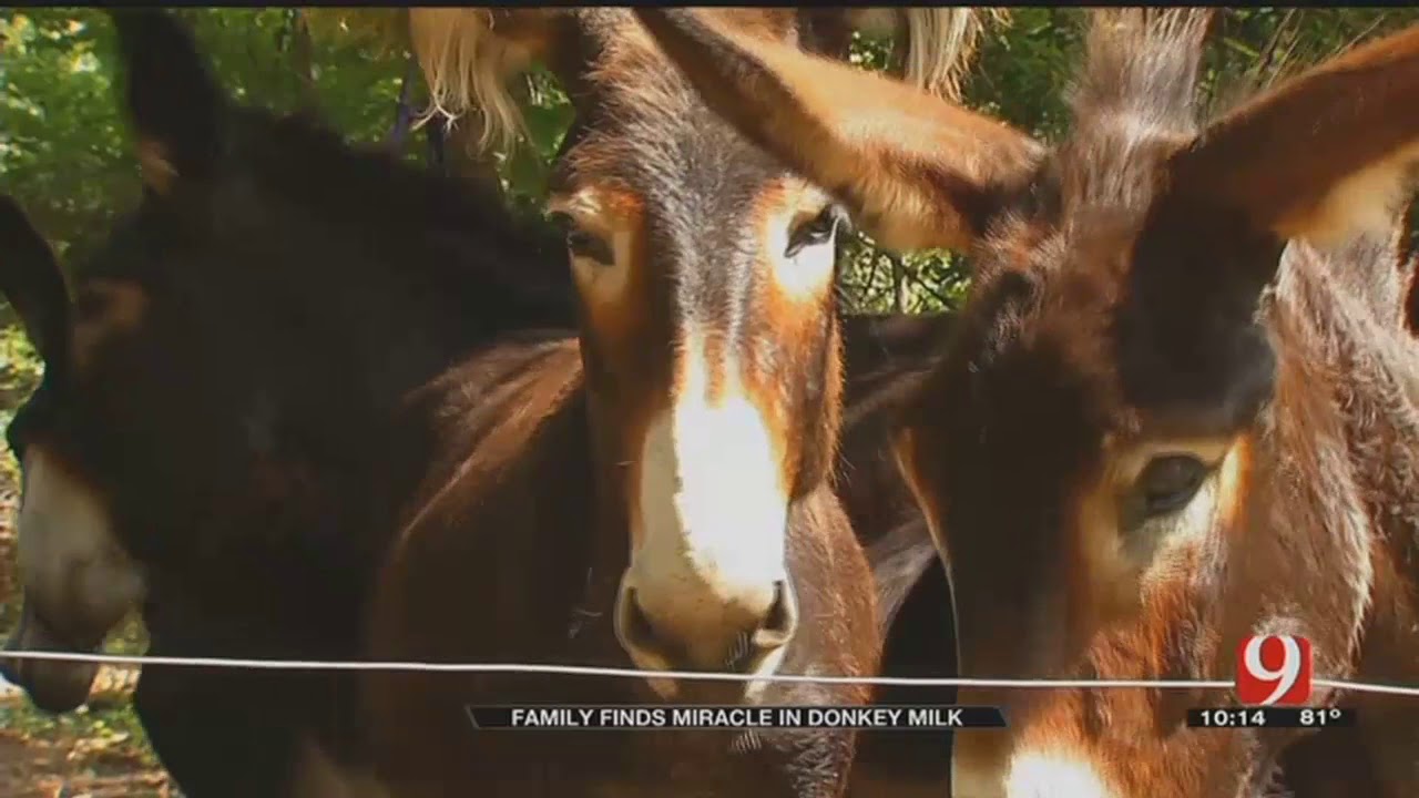 Oklahoma Family Turns To Donkey Milk To Help Their Sick Child