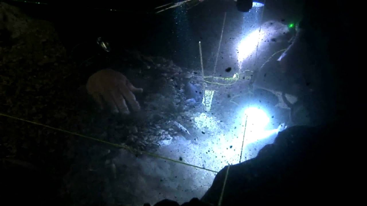 Little Salt Spring Archaeological Excavation