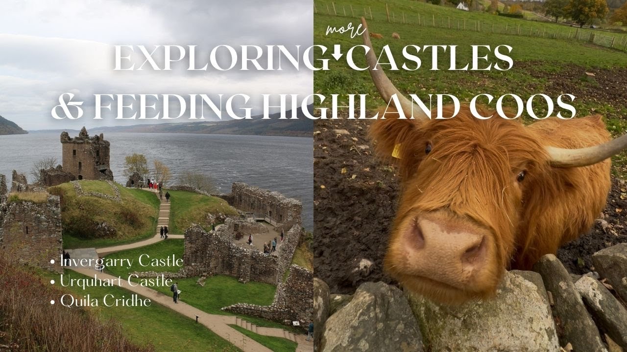 EXPLORING *MORE* CASTLES IN SCOTLAND & FEEDING HIGHLAND COOS: Invergarry & Urquhart Castles