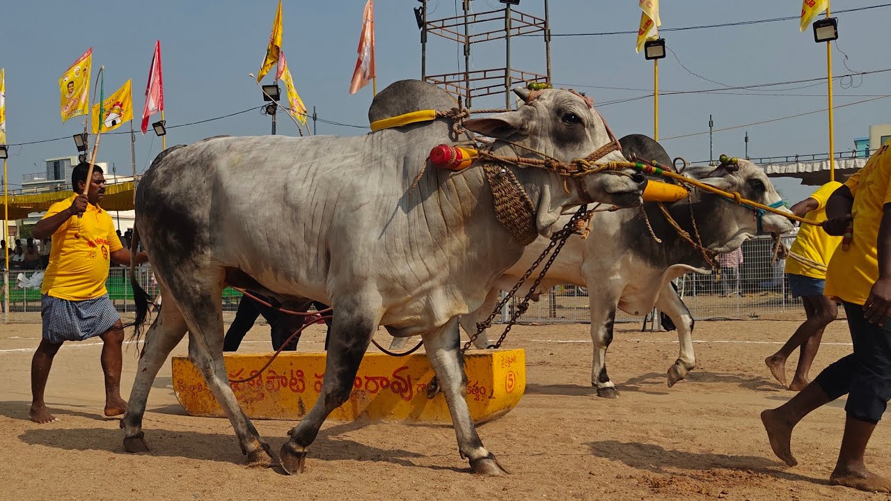 చిలకలూరిపేట 6పళ్ళు 12వ