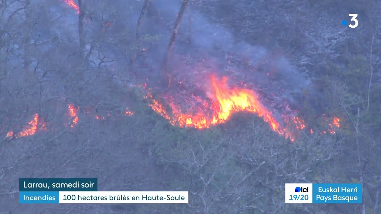 Incendies au Pays basque : 100 hectares de végétation brulés à Larrau