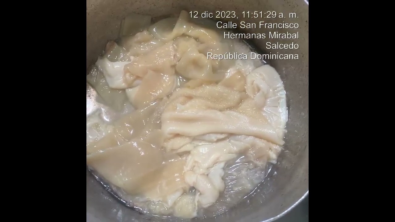 Mondongo guisado estilo panameño
