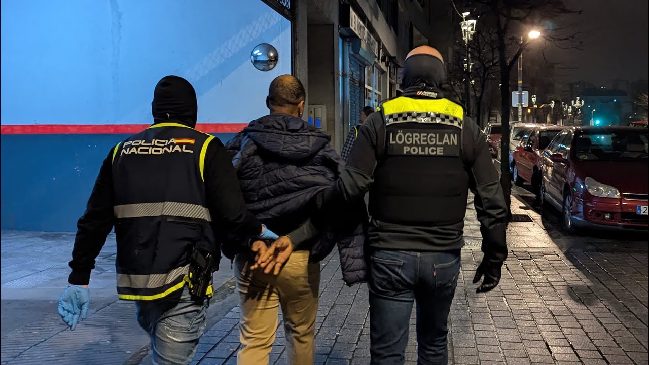 24 members of international drug trafficking group arrested
