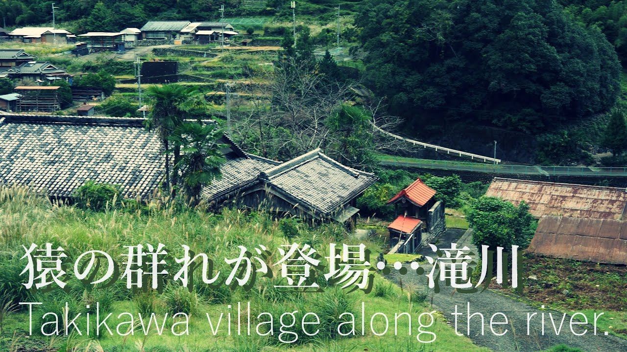 猿の群れが住む！人もまばらな十津川奥地…滝川　Takikawa village along the river. A group of monkeys eating nuts.