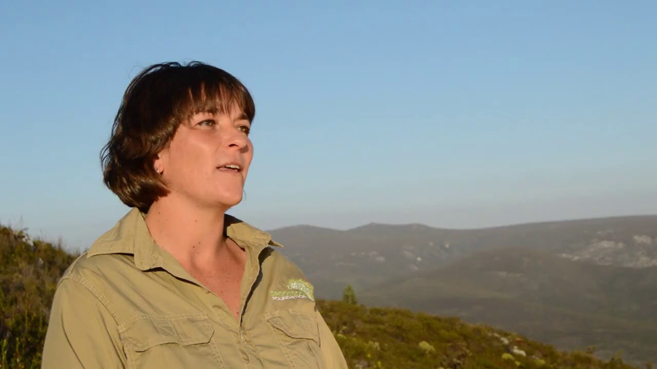 CLT - Showcasing Conservation Careers - Entomologist