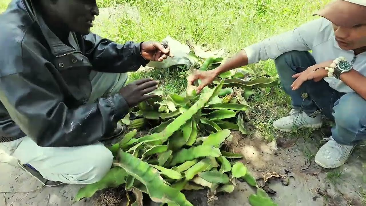 Thế Nhân || Không Chỉ Là Hỗ Trỡ, Thay Đổi Tuơng Lai Của Bà Con Mới Là Mục Tiêu