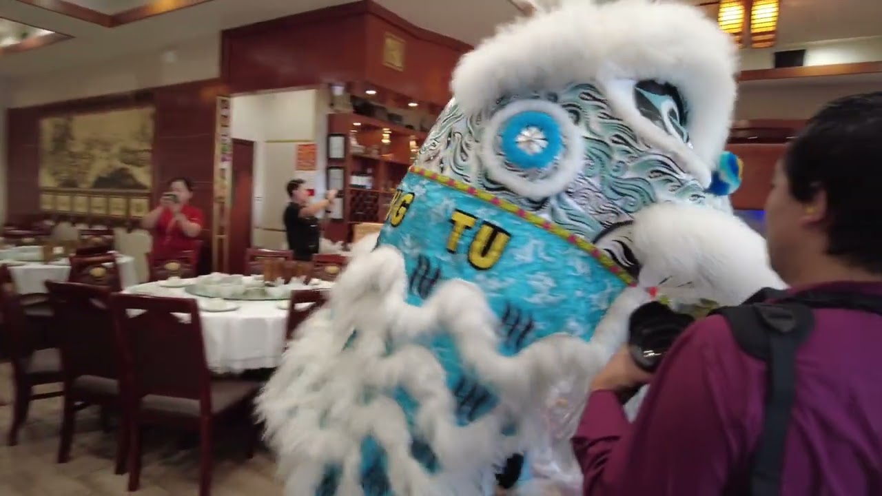 VTT Lion Dance greeting On Ngai Lion Dance Sport Association - 7/27/24