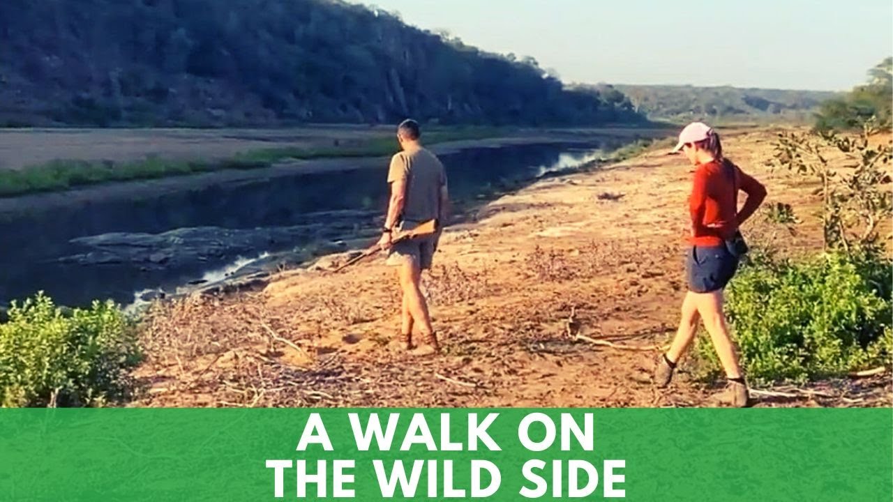 A Morning Bush Walk In Limpopo National Park
