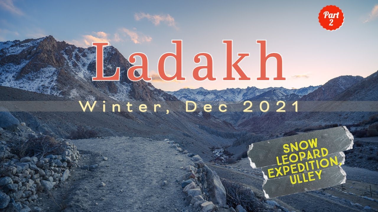 Snow Leopard Expedition - Part 2: Life in Ulley | Ladakh, Winter 2021