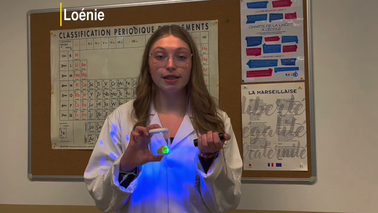 Notre projet scientifique en 180 secondes - Lycee Marcel Rudloff - BRADAI Zakaria