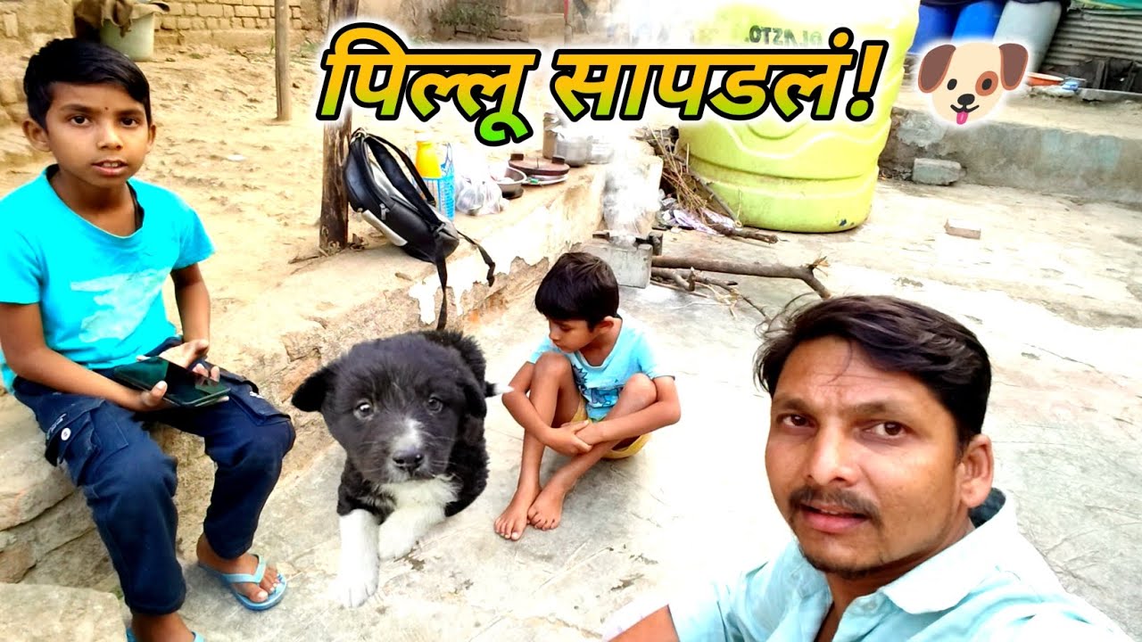 रस्त्यात दिसलं कुत्र्याचं पिल्लू…🐶  थेट घरी घेऊन आलो || #dailyvlog #MyमराठीVlog #PuppyRescue 