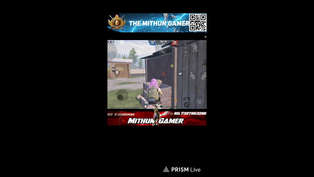 the mithun Gamer
