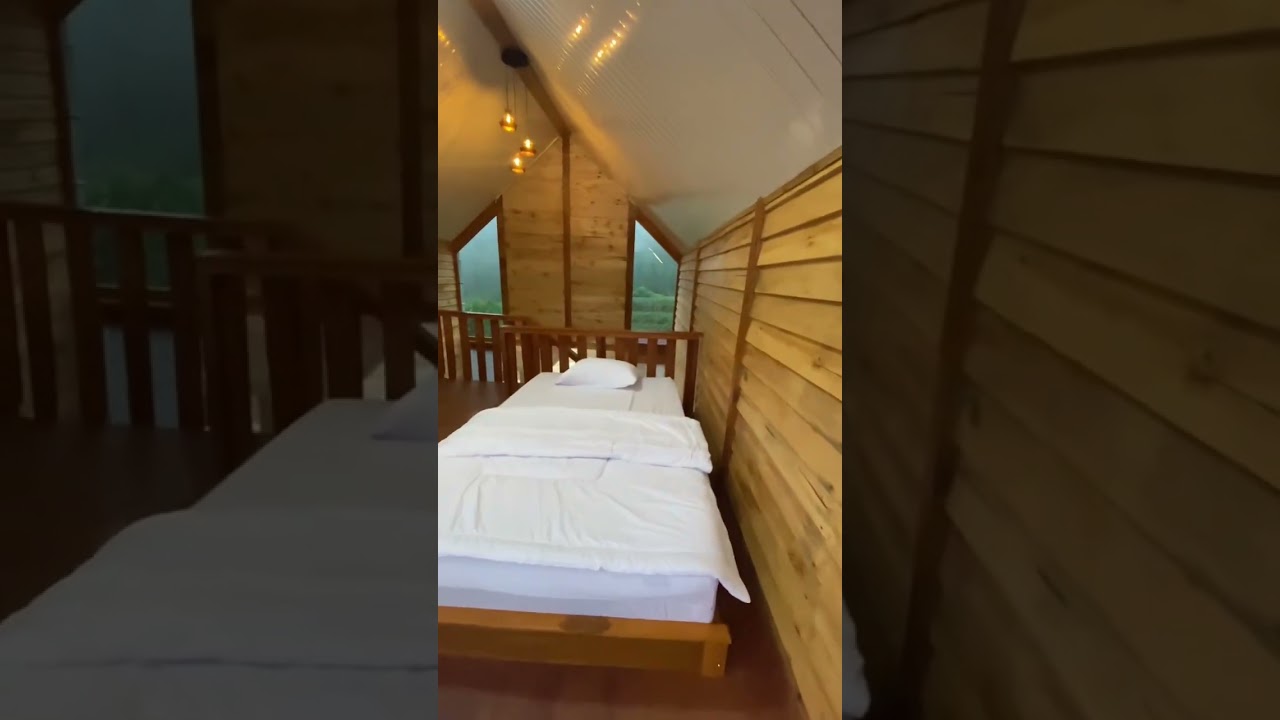 penginapan dieng cabin
