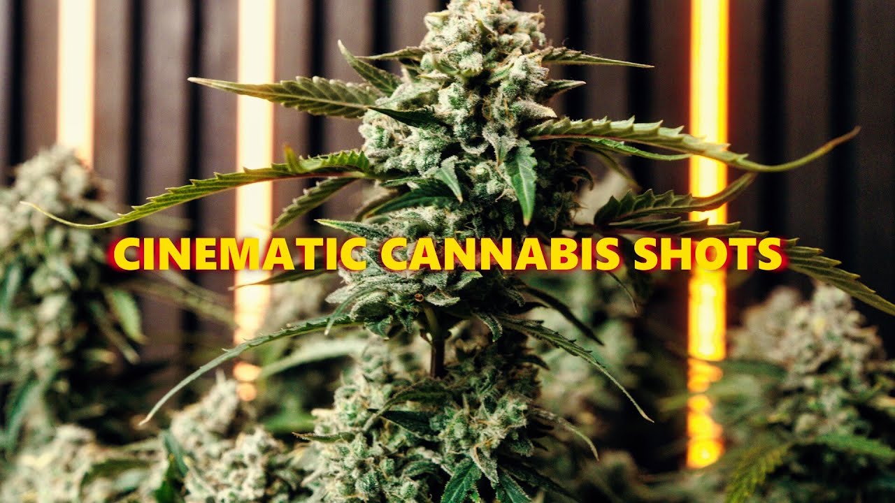 Relaxing Cinematic Cannabis Shots