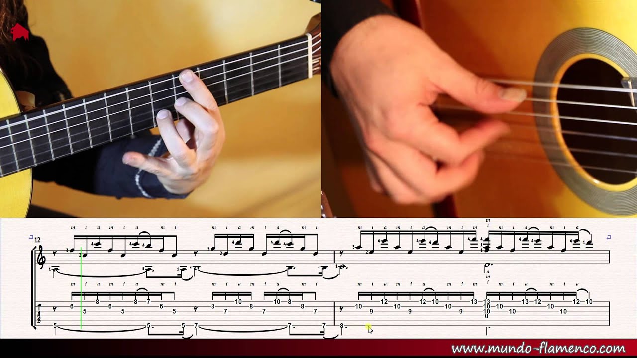 Flamenco Lessons, Sole&aacute;res Part 1