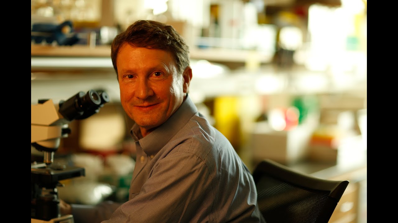 Scientist Stories: Scott Fraser, Multiplex Imaging of Cells in their Natural Contexts